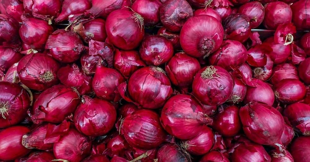 Onion shop for hair